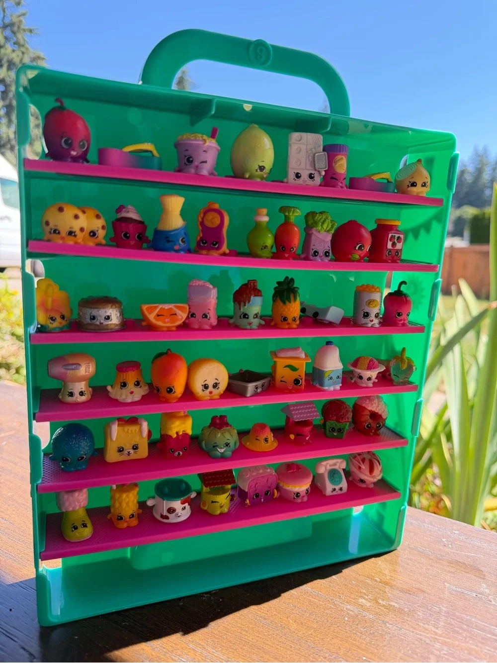 Shopkins Green Carry Case with Pink Shelves - Collectible Display 53 toys